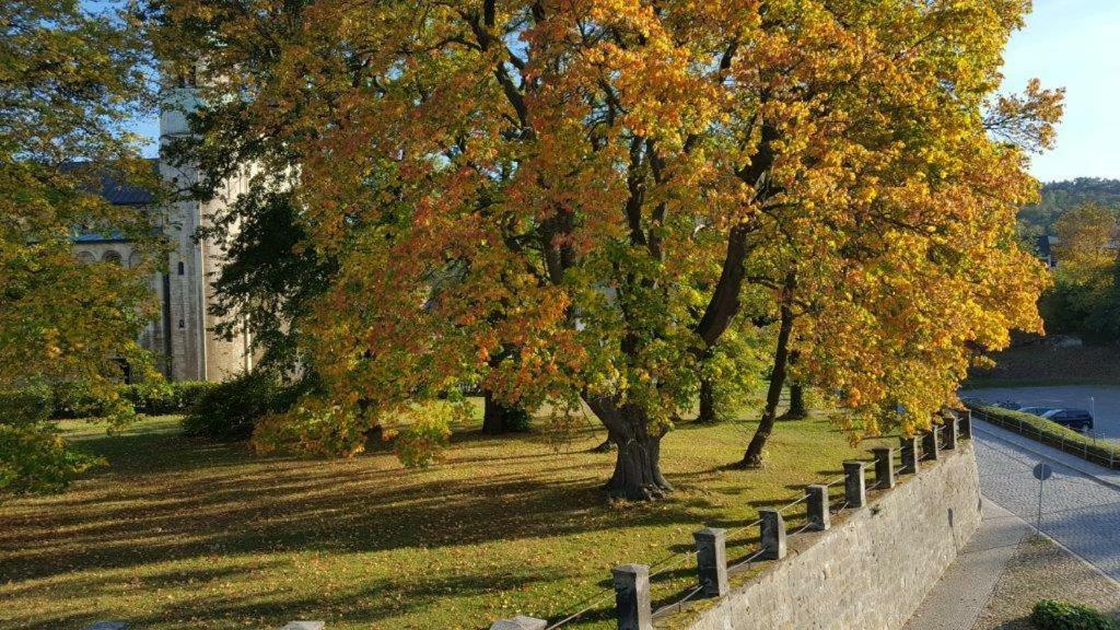 Appartamento Stiftsblick Gernrode  Esterno foto